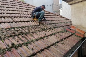 Limpieza tejados Palencia